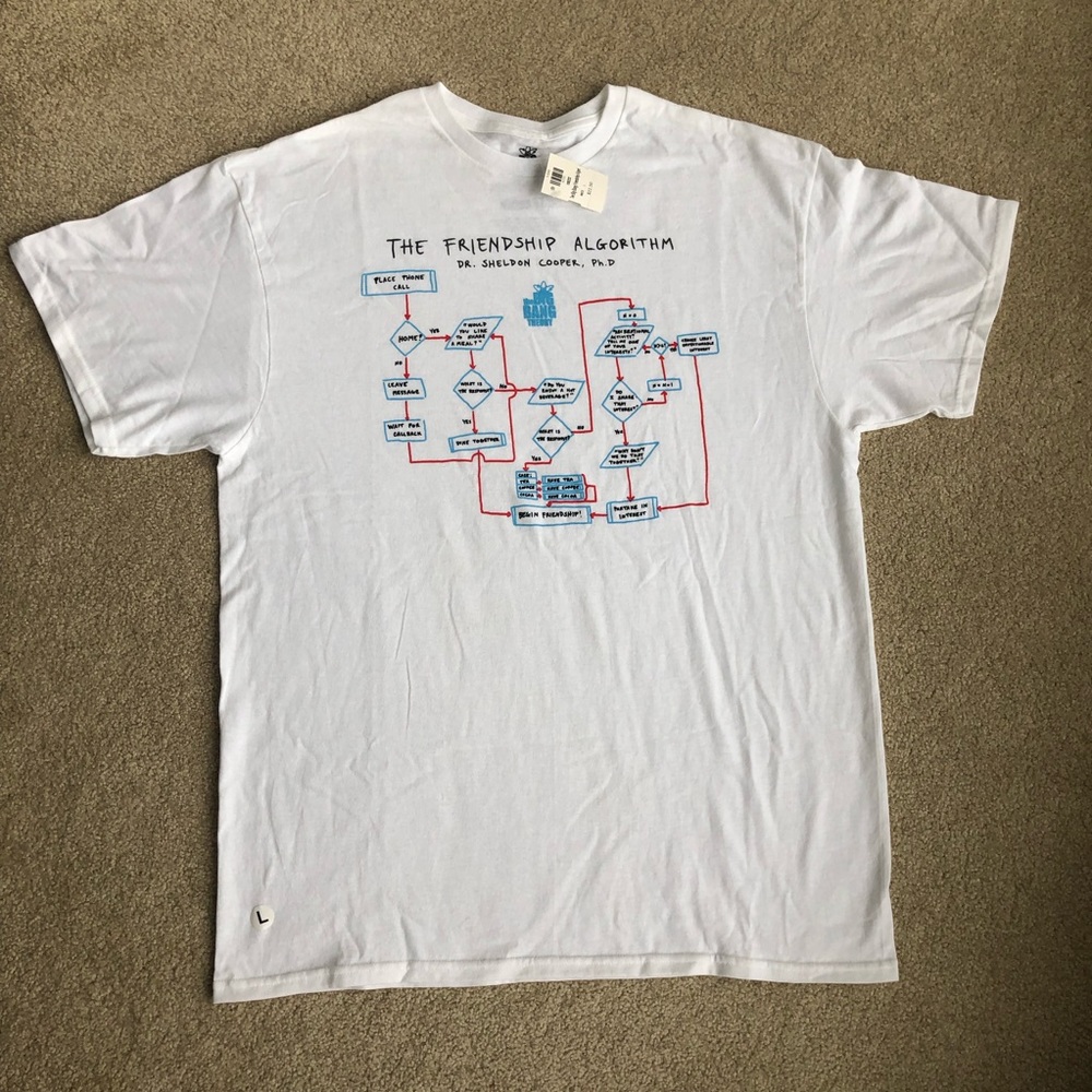 Big Bang Theory - friendship algorithm tee
